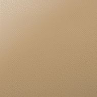 118403 Керамогранит Aguas Plain Terracotta 90x90