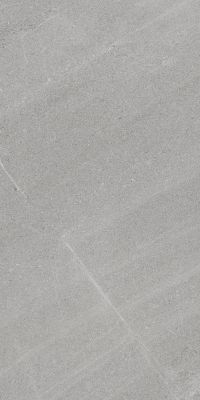 1198 Керамогранит Sofia Gris Matt 120x60