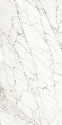 120125 WHITE FUN NATURALE+RETTIFICATO 60x120