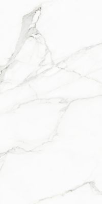 120126 WHITE BEAUTY NATURALE+RETTIFICATO 60x120
