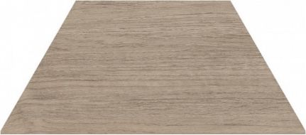 120282 TRAPEZIUM WOOD MID 9.8x23