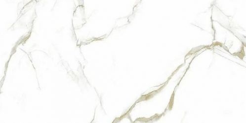 1206 Helion 60x120