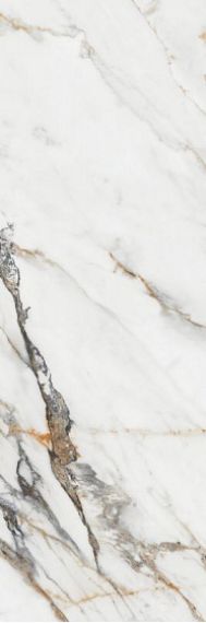 1219 FIRENZE CALACATTA GOLD RET 40x120