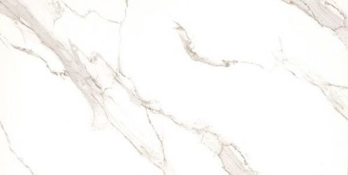 12210R CARVING 60x120