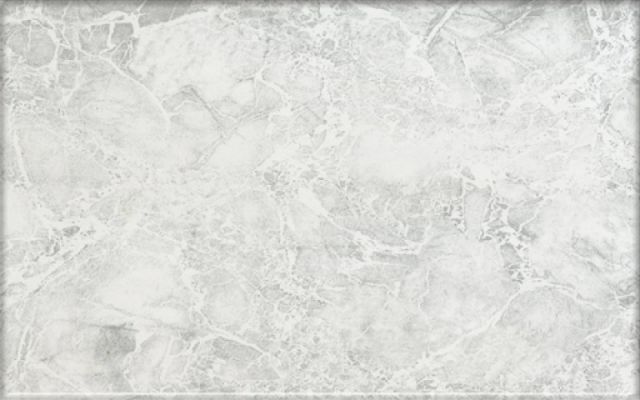 122571 Цезарь Серая 25х40