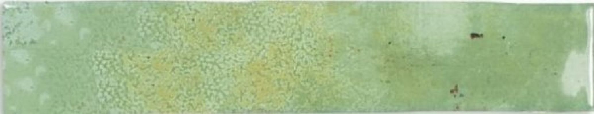 123146 MOSS 5x25