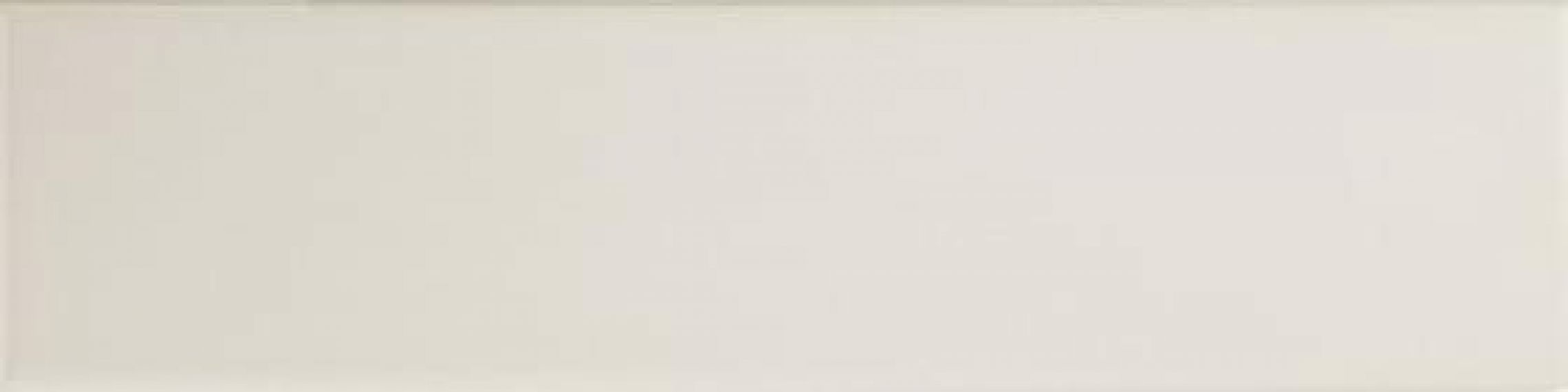 124908 WHITE MATT 7,5x30