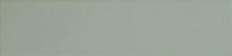 124913 SAGE MATT 7,5x30