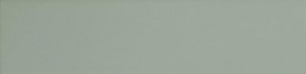 124913 SAGE MATT 7,5x30