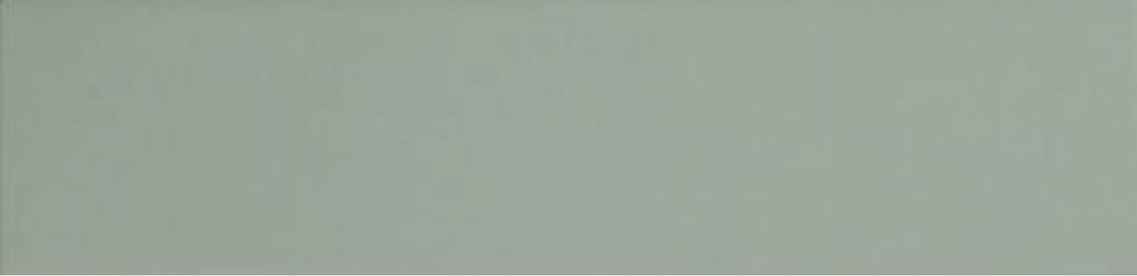 124913 SAGE MATT 7,5x30