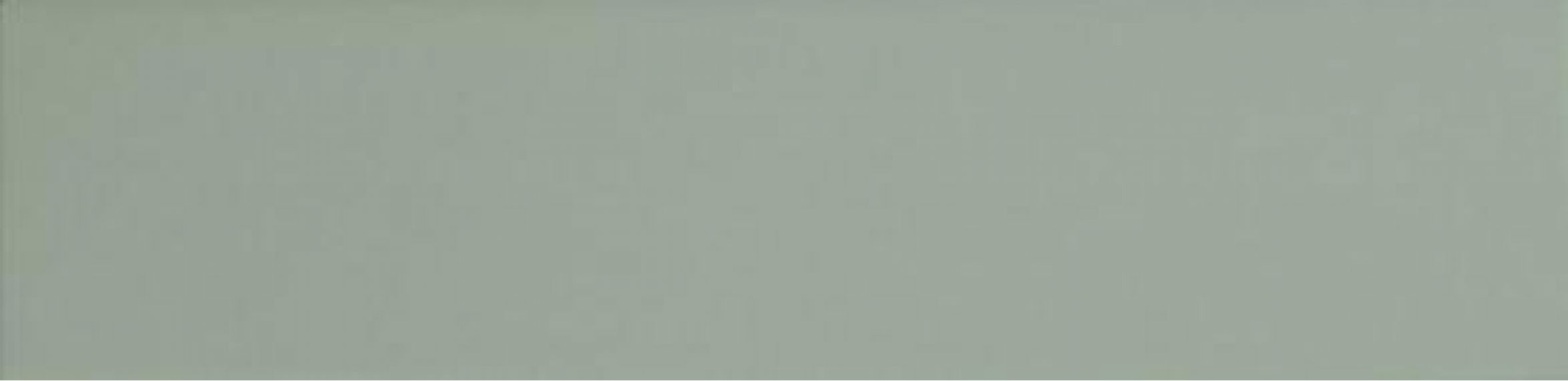 124913 SAGE MATT 7,5x30