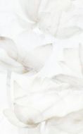 125701 Bianco декор 25x40
