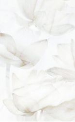 125701 Bianco декор 25x40