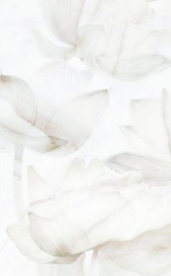125701 Bianco декор 25x40