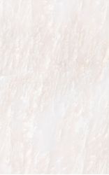 126871 Peonia 25*40