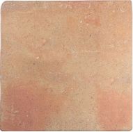 128198 ROOTS COTTO L 22x22