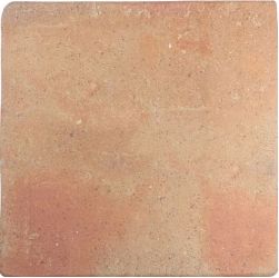 128198 ROOTS COTTO L 22x22