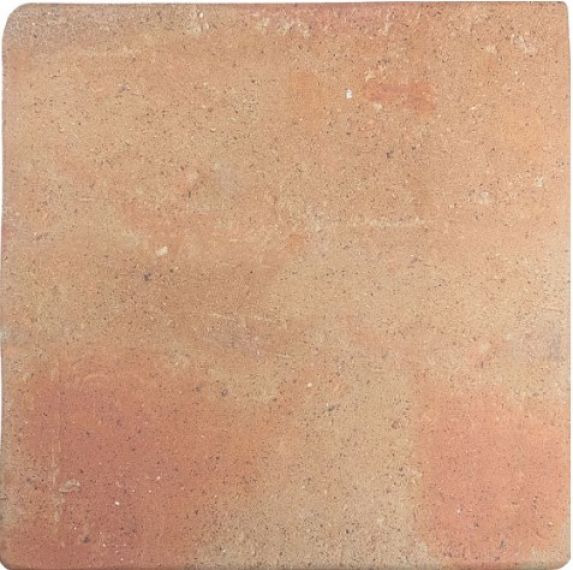 128198 ROOTS COTTO L 22x22