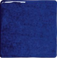 128209 ROOTS Indigo S Gloss 11x11