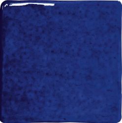 128209 ROOTS Indigo S Gloss 11x11