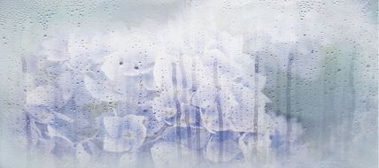 131614 Rosa Деко 20*45