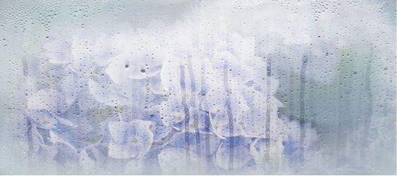 131614 Rosa Деко 20*45