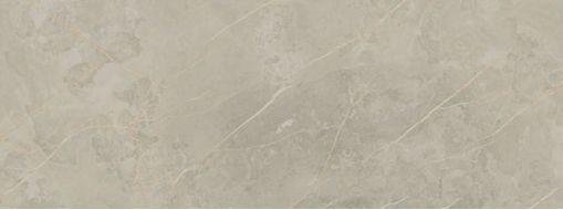 1320 GRIS PULIDO RECT. 48*128