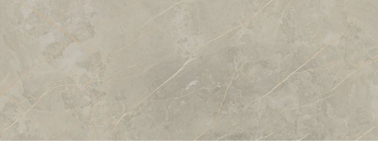 1320 GRIS PULIDO RECT. 48*128