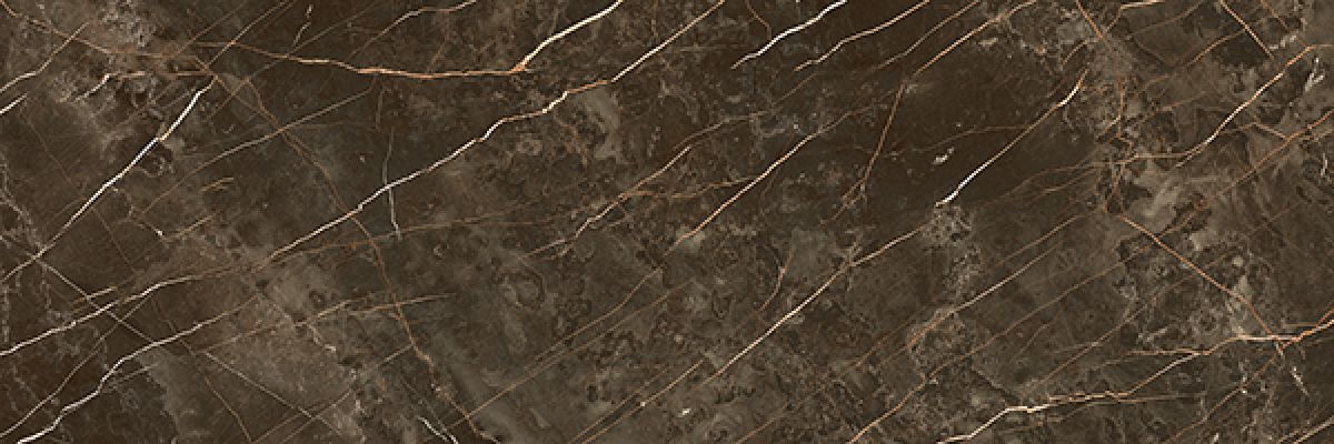 1320 Tabaco Pulido Rect. 48x128
