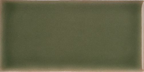 134624 Плитка Yoko Moss Gloss 6,2x12,5