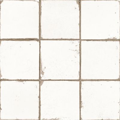 13621 FRANCISCO SEGARRA MANISES-B 33x33