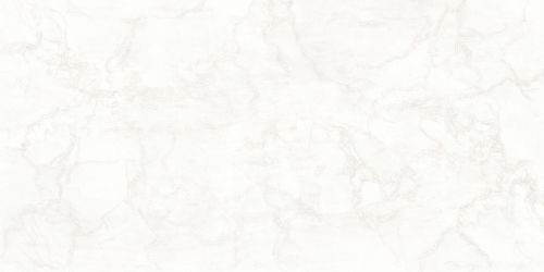 142015 Керамогранит Mystery White Lux/Ret 8mm 60x120