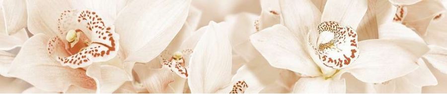 1504-0125 Плитка Бордюр AROMA бежевый 45Х7.5