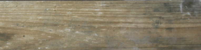 15 AN 0058 Андрия 60x15