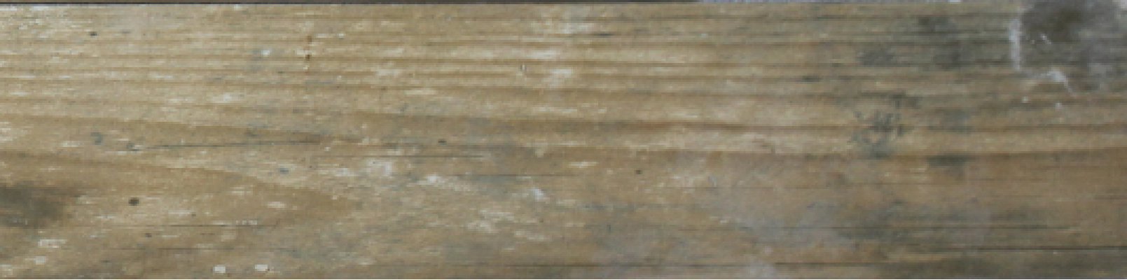 15 AN 0058 Андрия 60x15