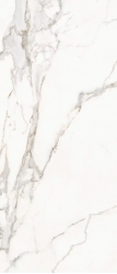 163016 CALACATTA ORO NAT/RETT 120X280