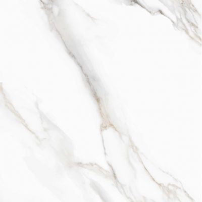 166509 Керамогранит Pelatin Polished 60х60