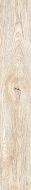 1708 Cream Divaya 20x120