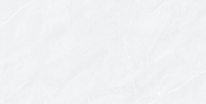 176513 Керамогранит Fluorite Polished 60x120