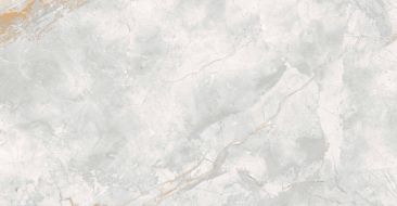 176687 Керамогранит Elison Polished 60x120