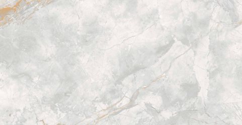 176687 Керамогранит Elison Polished 60x120