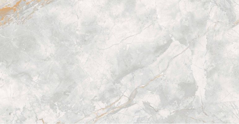 176687 Керамогранит Elison Polished 60x120