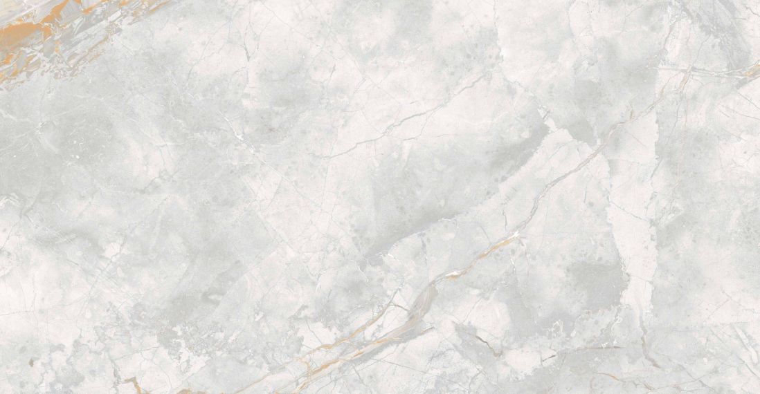176687 Керамогранит Elison Polished 60x120