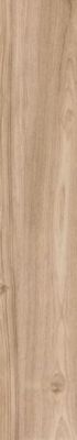 1766 OLIVE JIVAR 20x120
