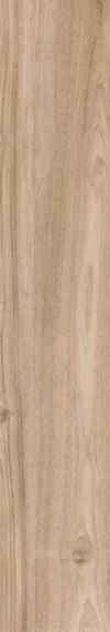 1766 OLIVE JIVAR 20x120