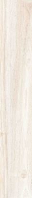1770 BONE JIVAR 20x120