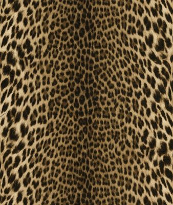 18029 Roberto Cavalli №7