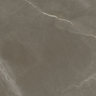 1804 Gris Rectificado Pulido 98x98