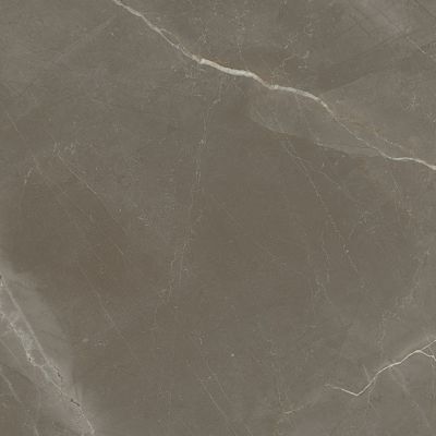 1804 Gris Rectificado Pulido 98x98