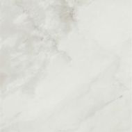 1811 Blanco Rectificado Pulido 98x98